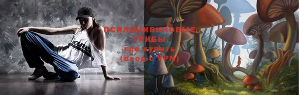 герыч Козельск
