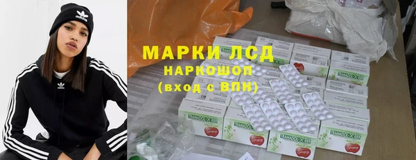 прущие грибы Кодинск