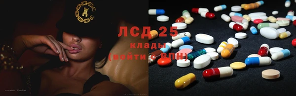 прущие грибы Кодинск