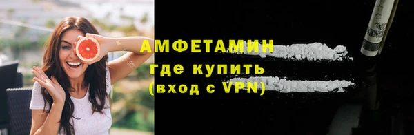 прущие грибы Кодинск