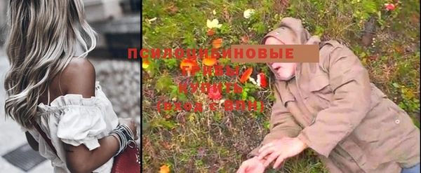 мескалин Козловка