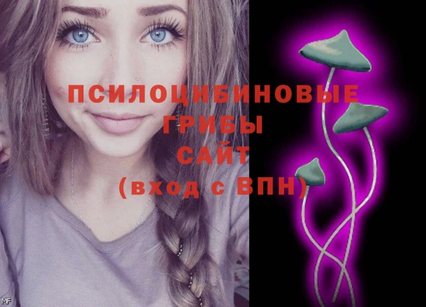 герыч Козельск