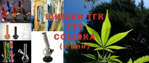 прущие грибы Кодинск