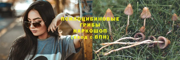 мескалин Козловка